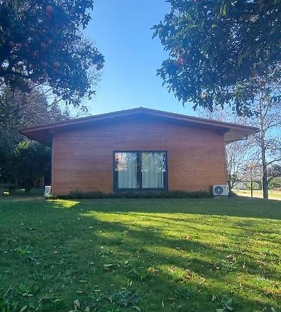 Casa Da Ferreirinha Pensionat Faldejaes Eksteriør billede